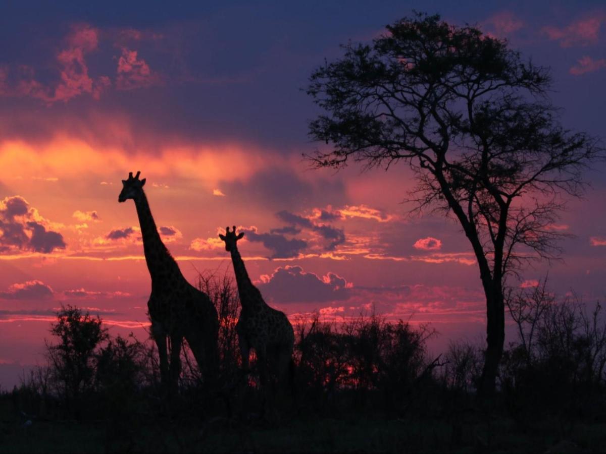 Paradise River Lodge Hoedspruit Esterno foto