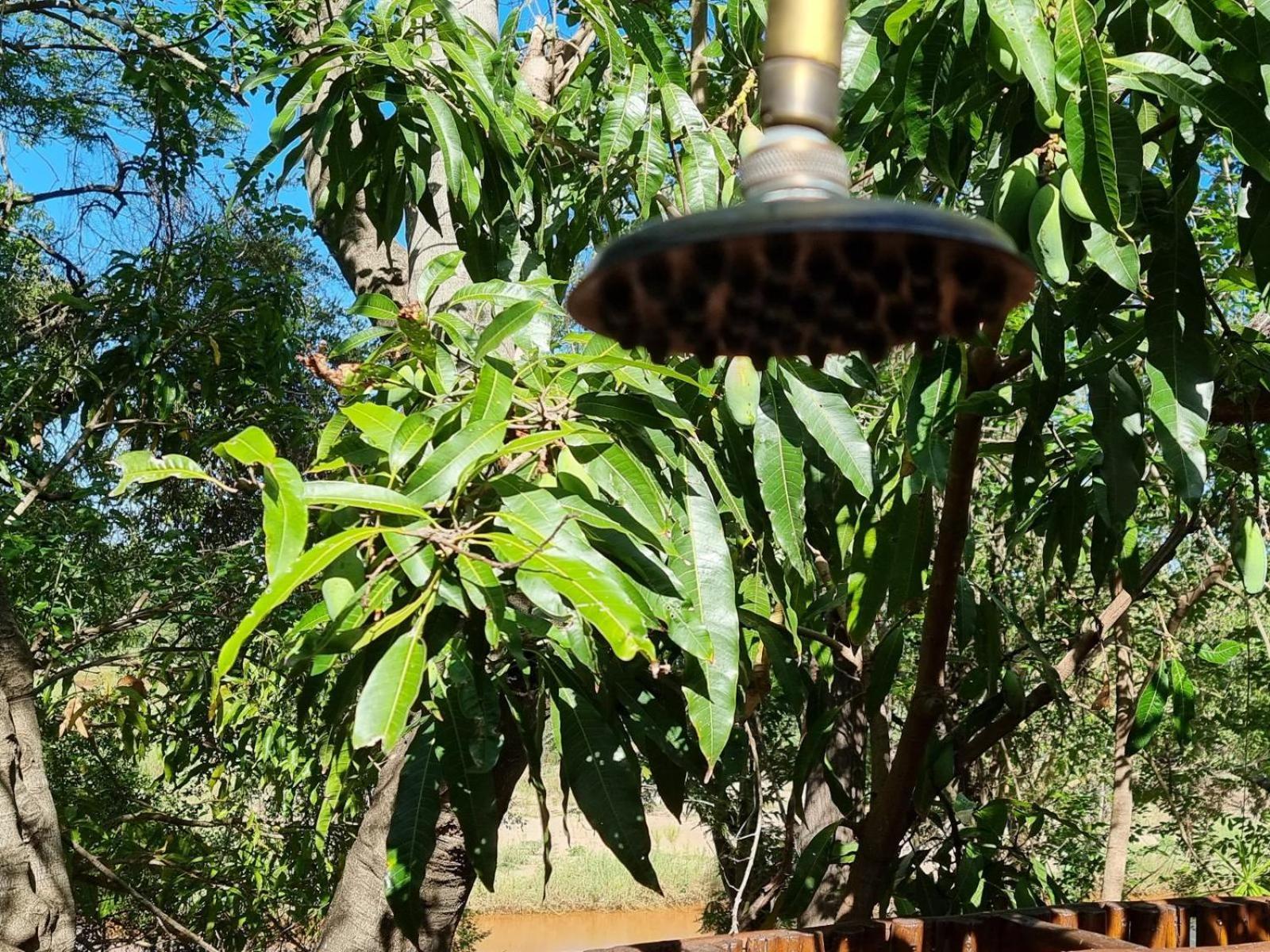 Paradise River Lodge Hoedspruit Esterno foto