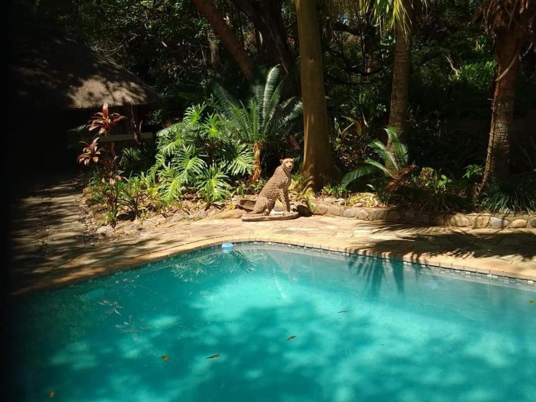 Paradise River Lodge Hoedspruit Esterno foto